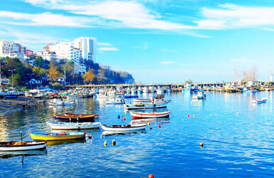 Zonguldak Ereğli Akçakoca ( 1 Gece HB Otel )