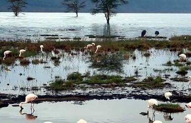 Kütahya, Frig Vadisi, Afyon, Beypazarı Turu
