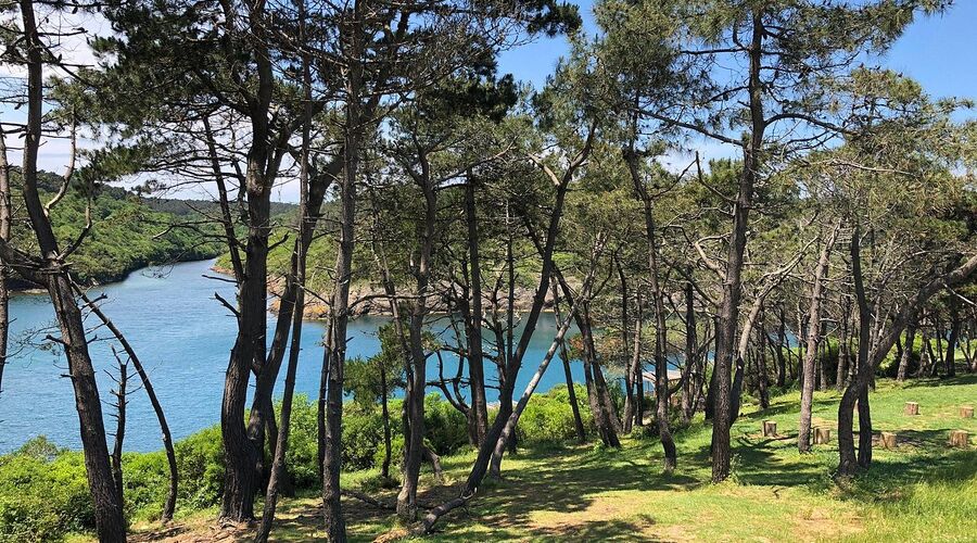 Butik Kastamonu Sinop Turu (2 Gece HB Otel)