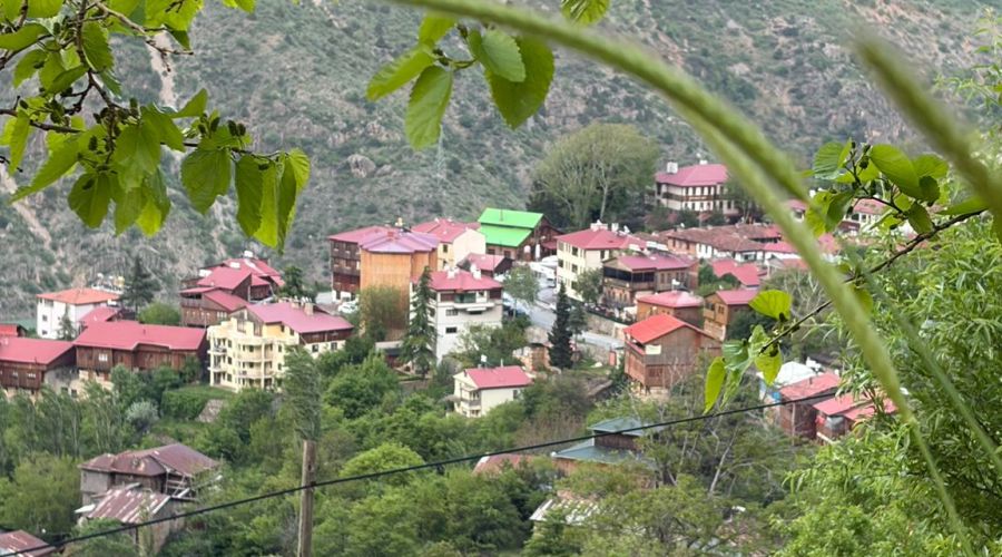 Uçaklı Butik Sivas Divriği Kemaliye Elazığ Turu